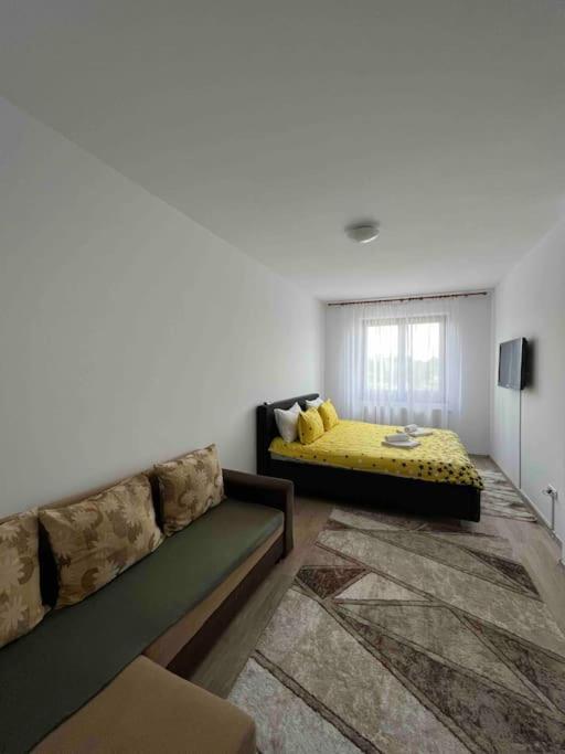 Alex 2 Apartament ヤシ エクステリア 写真